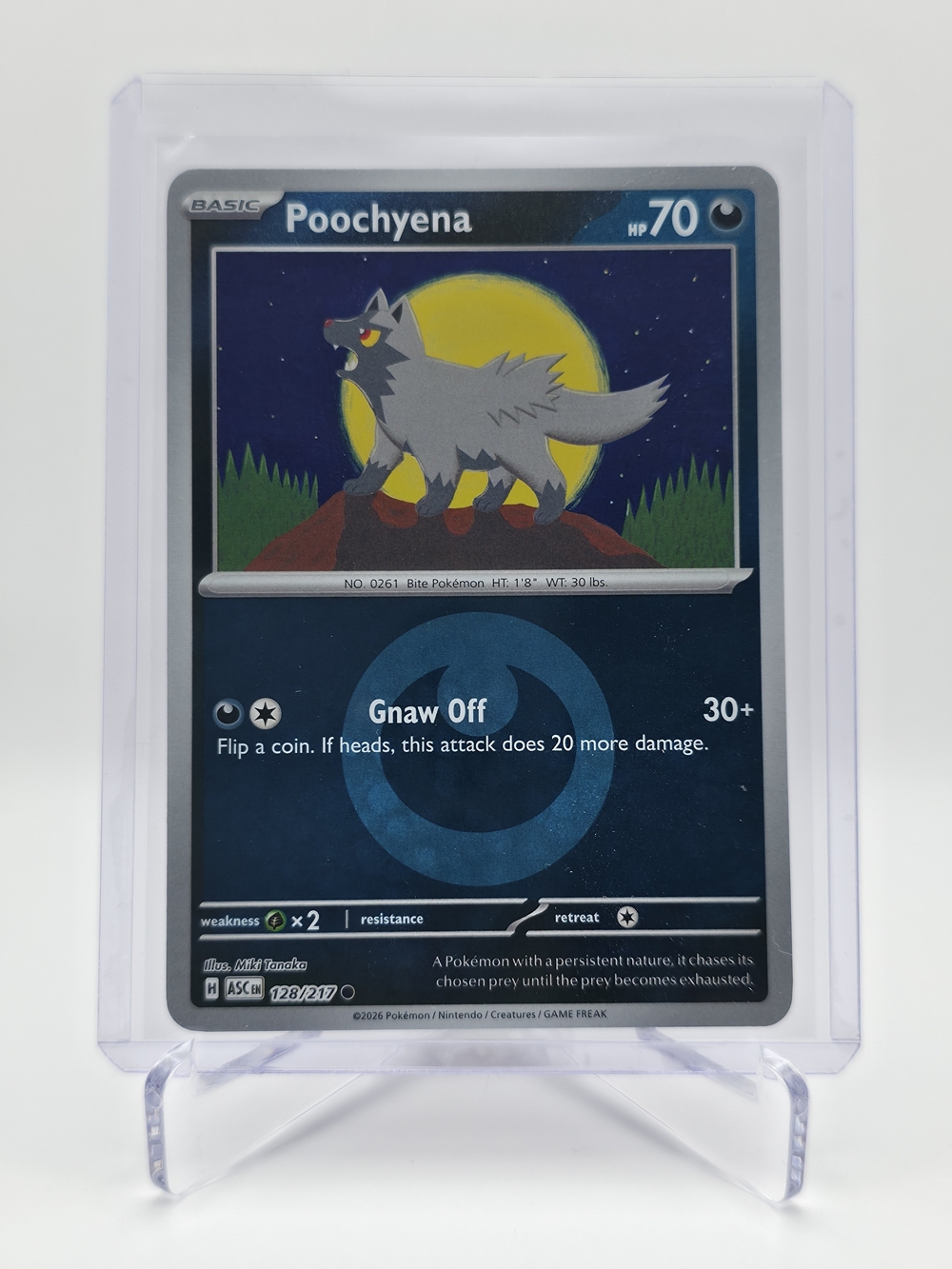 Pokémon TCG - Poochyena - Ascended Heroes - Reverse Holo - 128/217